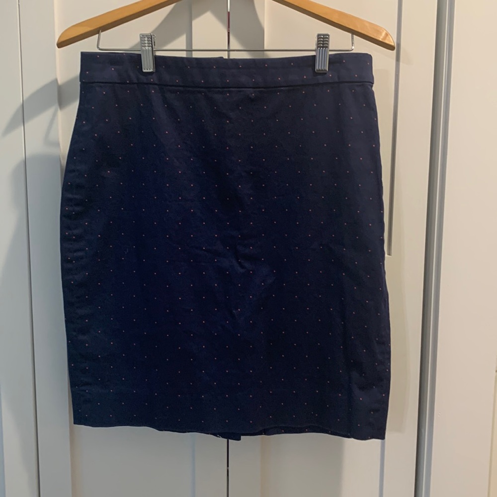 The Pencil Skirt by Jcrew. Navy blue with pink polka dots.